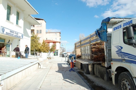 Fidan Yüklü Kamyondan Kaçak Sigara Çıktı
