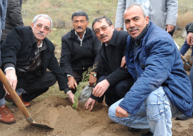 Enerya Aksaray’a Orman Kuruyor