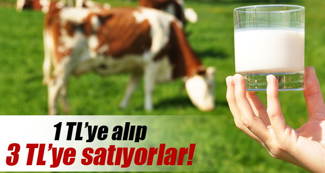 Üreticiden 1 TL’ye alınan süt tüketiciye 3 TL’ye satılıyor