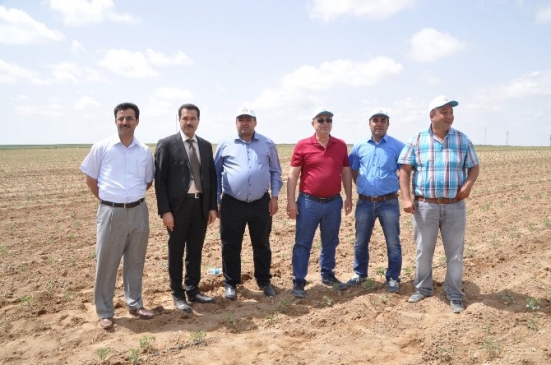 Aksaray’da Sebze Ve Meyve Üretimi Artıyor