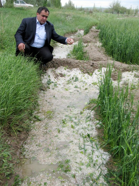 Aksaray’da Tarlaları Dolu Vurdu