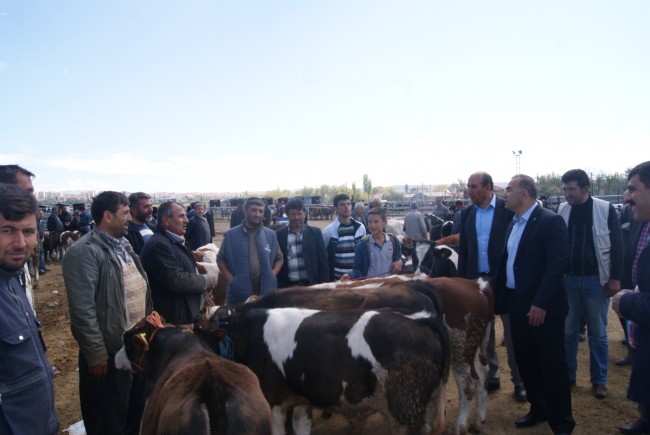 Aksaray’da hayvancılık desteği 32 kat arttı