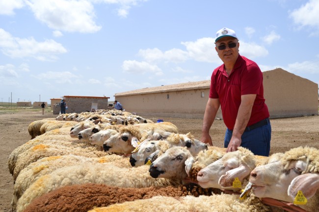Başkan Özkök “Çift ile koyun gerisi oyun”