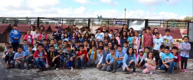 Hayvan Rehabilitasyon Merkezi, Hayvan Severlerin ve Öğrencilerin Akınına Uğruyor