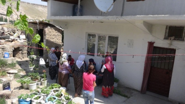 Köpeği Ve Gelini Bayıltan Peçeli Kadın Evi Soydu