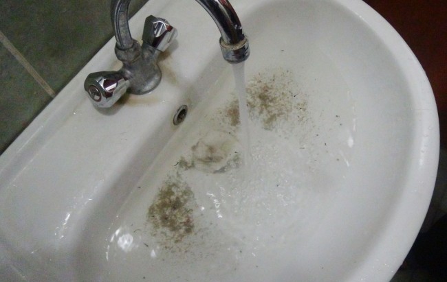 Aksaray’da Çeşmelerden Kurbağa Akıyor