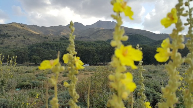 Doğal Güzelliklerin Adresi Hasan Dağı