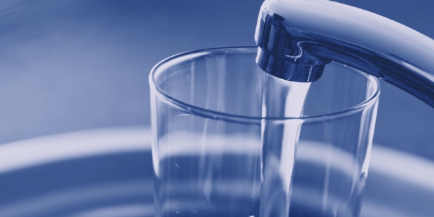 Suyumuz Gömük Kokuyor