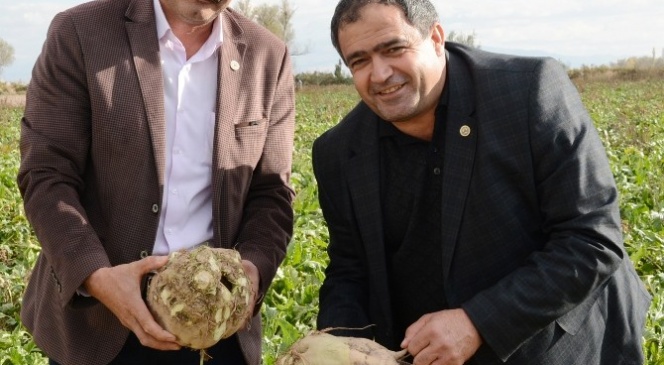 Pancar Kotası Çiftçiyi Üzdü