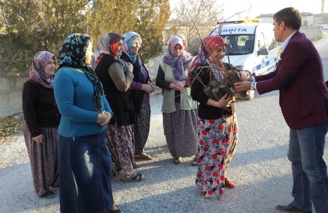 Sultanhanı’da 20 bin fidan toprakla buluşuyor