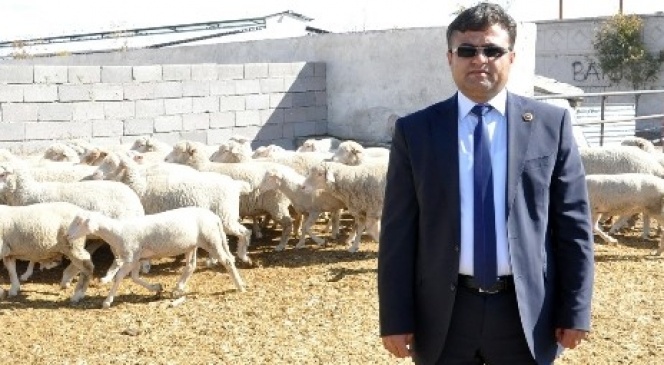 Üreticiler 10 Milyon Tl Destekleme Alacak