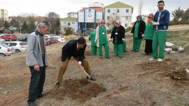 Devlet Hastanesine 1852 adet fidan dikildi