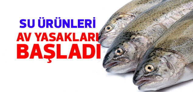 2016 Yılı Su Ürünleri Avlanma Yasakları Başlıyor