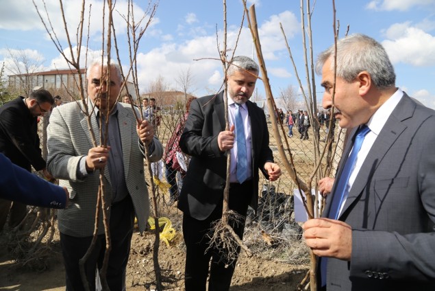 Ortaköy’de 2 Bin Fidan Toprakla Buluşturuldu