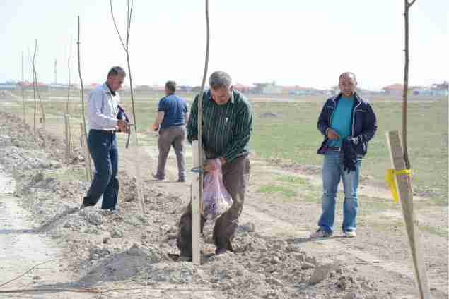 Yenikent’te 6 Bin Fidan Toprakla Buluşturuldu