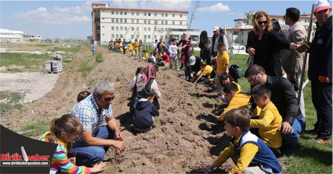 ASÜ Çocuk Ormanı İçin 200 Fide Toprakla Buluşturuldu