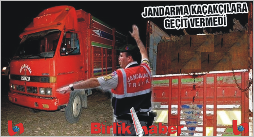 Jandarma Kaçakçılara göz açtırmıyor