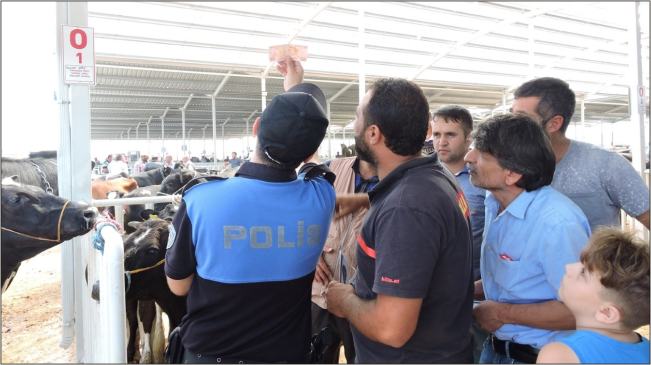 Kurbanlık Alışverişinde Dolandırıcılara ve Hırsızlara Karşı Duyarlı Olun