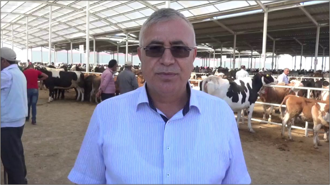 Kurbanlıklar Görücüye Çıktı