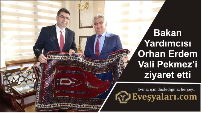 Bakan Yardımcısı Orhan Erdem Vali Pekmez’i ziyaret etti