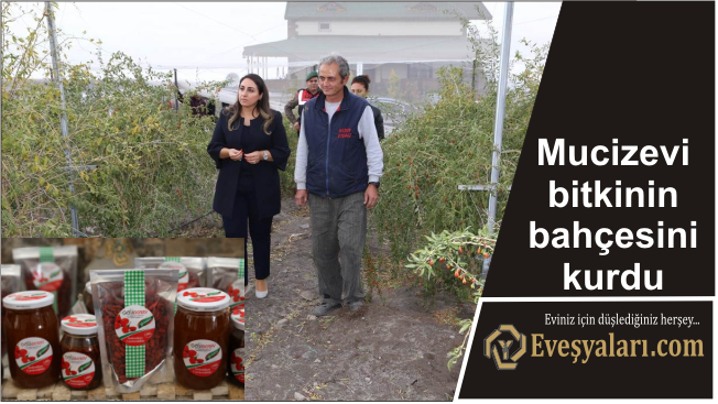 Deneme amaçlı olarak diktiği mucizevi bitkinin bahçesini kurdu