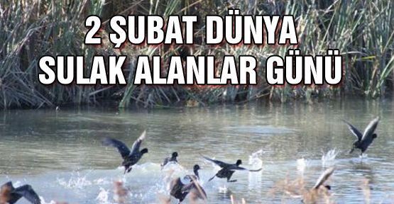 2 Şubat Dünya Sulak Alanlar Günü