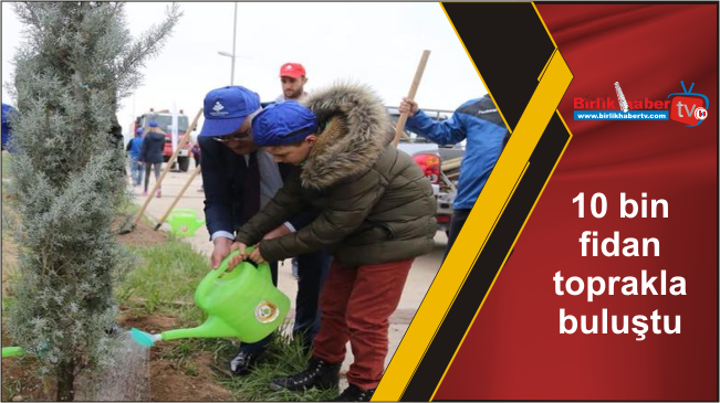 10 bin fidan toprakla buluştu