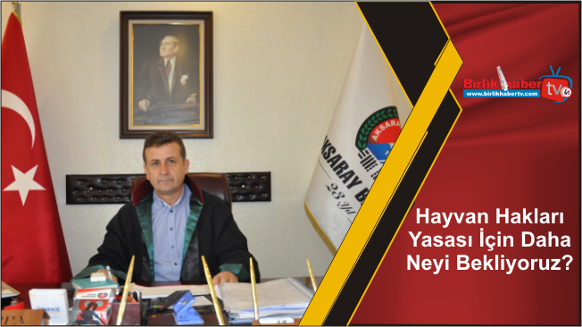 Hayvan Hakları Yasası İçin Daha Neyi Bekliyoruz?