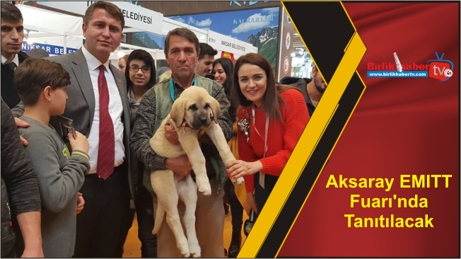 Aksaray EMITT Fuarı’nda Tanıtılacak