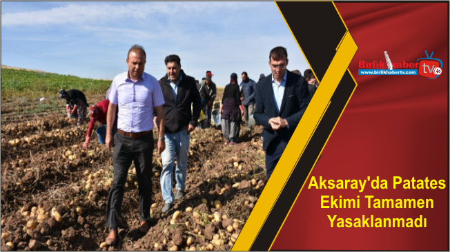Aksaray’da Patates Ekimi Tamamen Yasaklanmadı