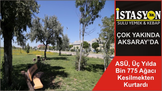 ASÜ, Üç Yılda Bin 775 Ağacı Kesilmekten Kurtardı