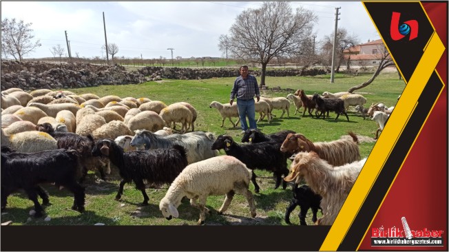 Engelli ve Eski Hükümlülere Hibe Desteği