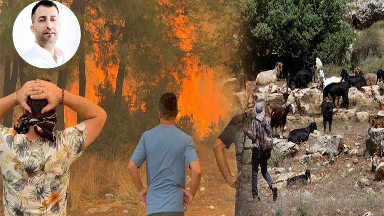 Bir kara keçinin yokluğu bin ağaç yakar