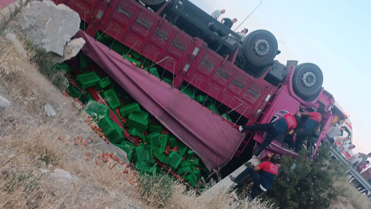 Domates yüklü kamyon dereye uçtu, sürücü ağır yaralı