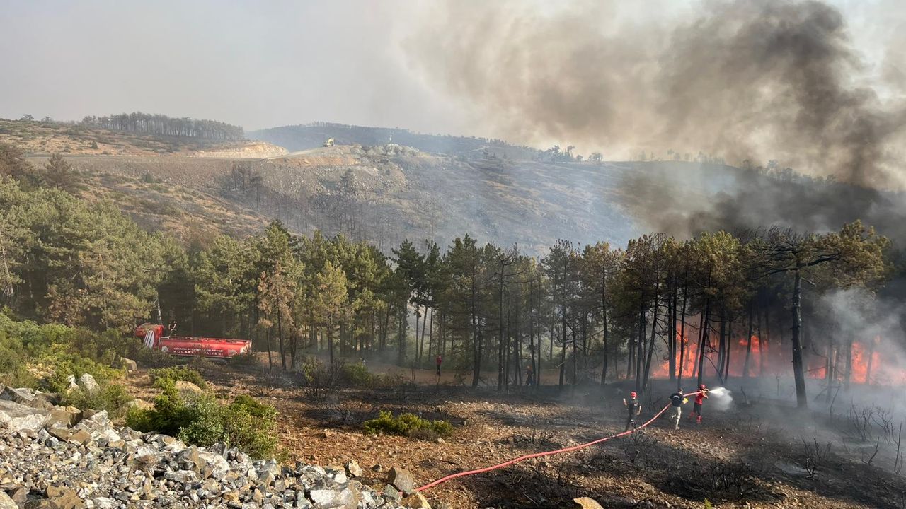 Kocaeli Büyükşehir Belediyesi’nden Bursa’daki yangına tam destek