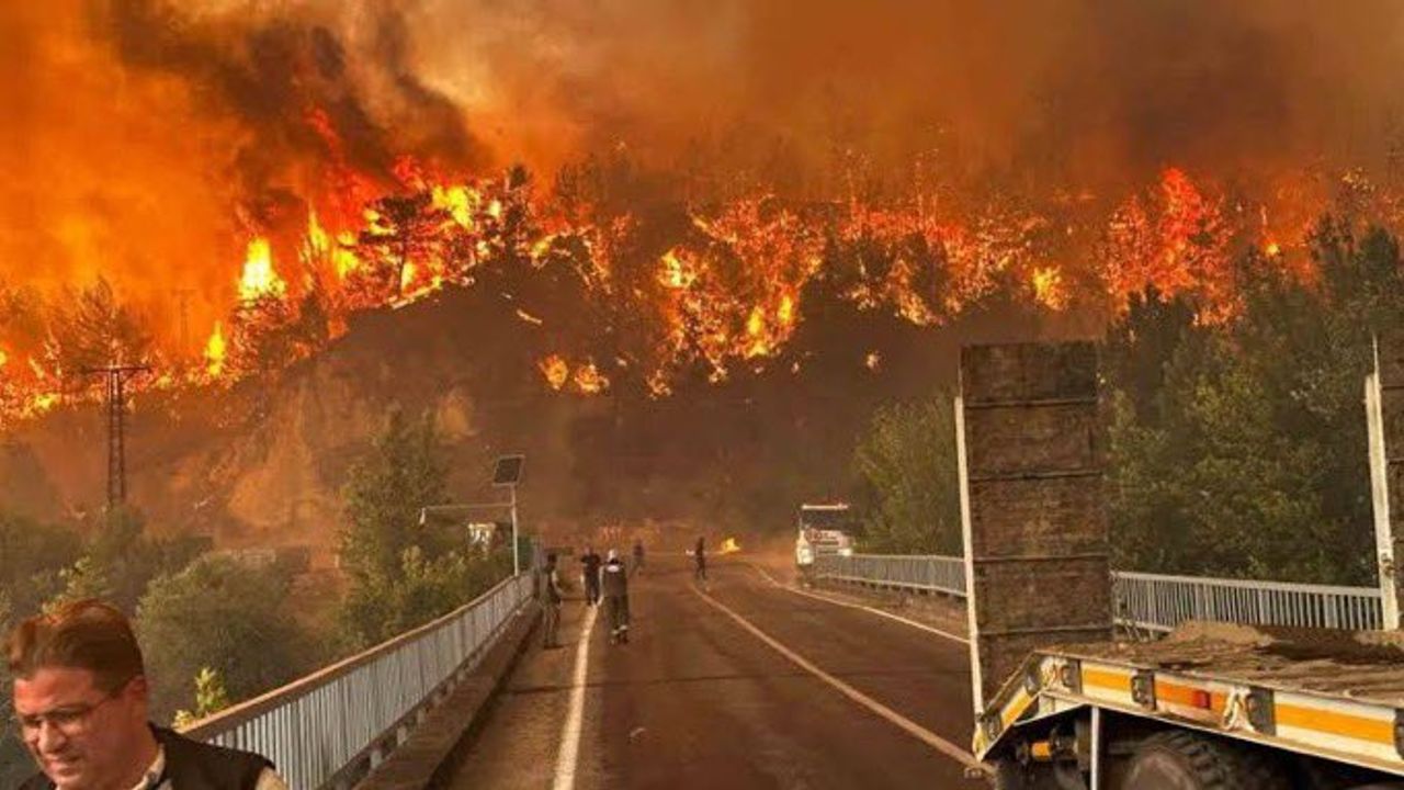 Bursa’daki orman yangını yeniden alevlendi: 1 itfaiye eri hayatını kaybetti