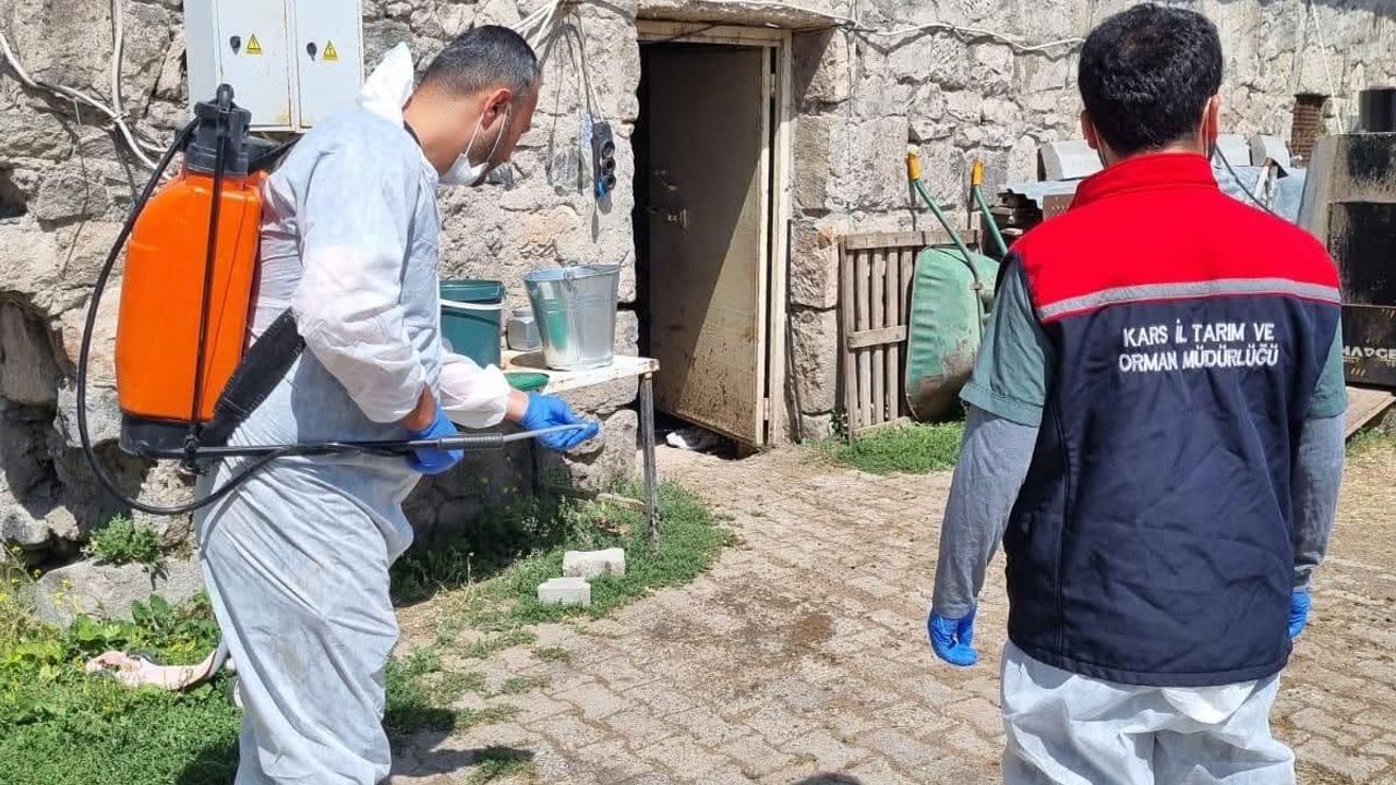 Kars’ta İlçe Tarım ve Orman Müdürlüğü ekipleri sahada: Yayıklı Köyü’nde dezenfeksiyon ve kontrol çalışması