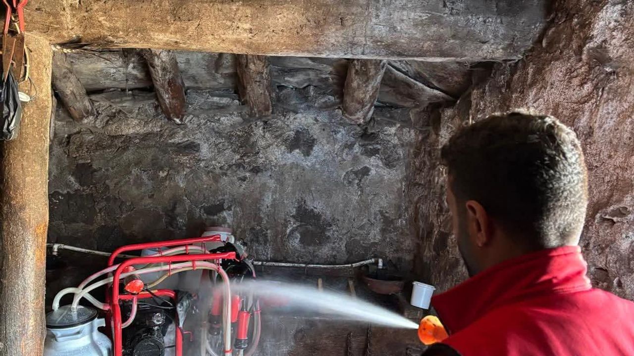 Susuz’da şap hastalığına karşı aşılama ve dezenfekte çalışmaları devam ediyor