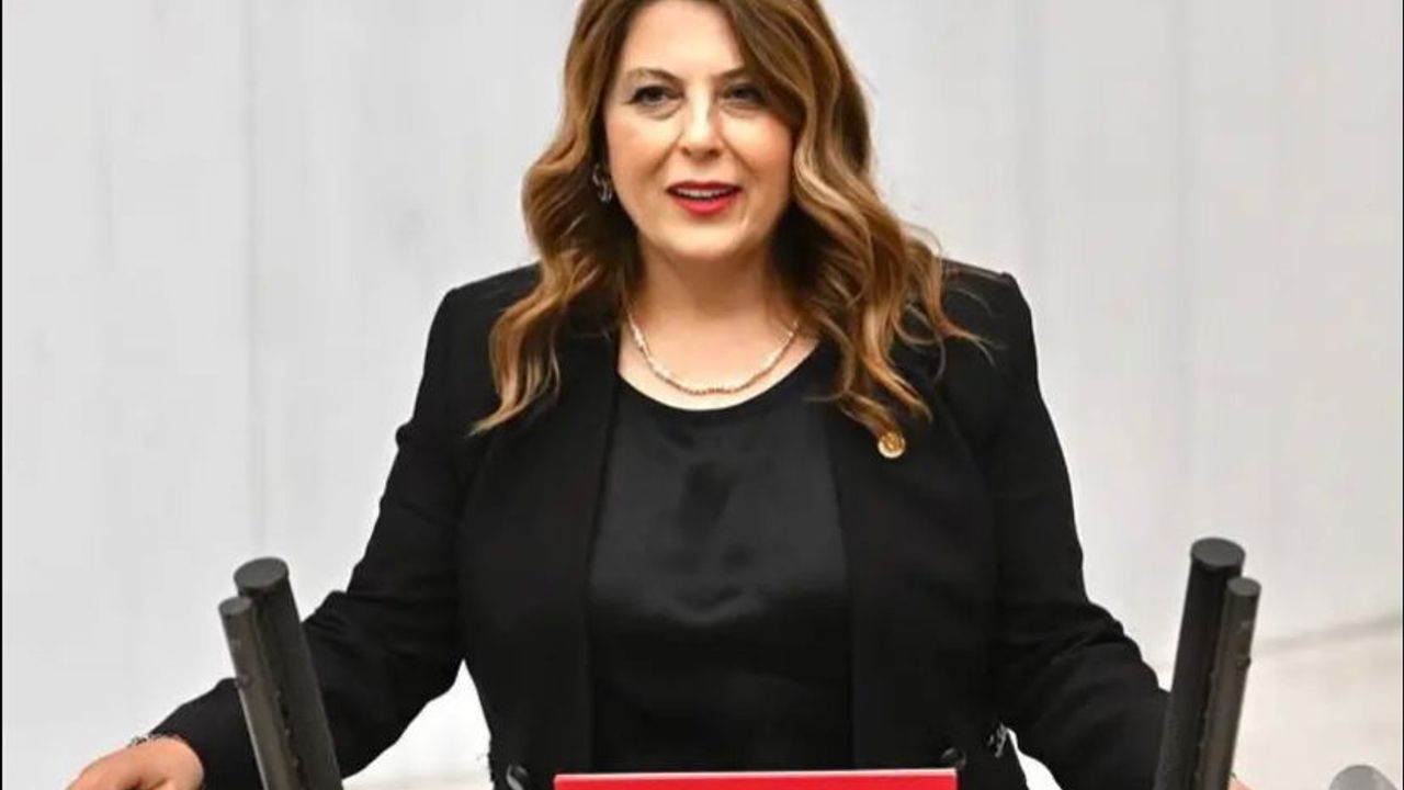 Elvan Işık Gezmiş: İlaca erişim sorunu çözülmeli