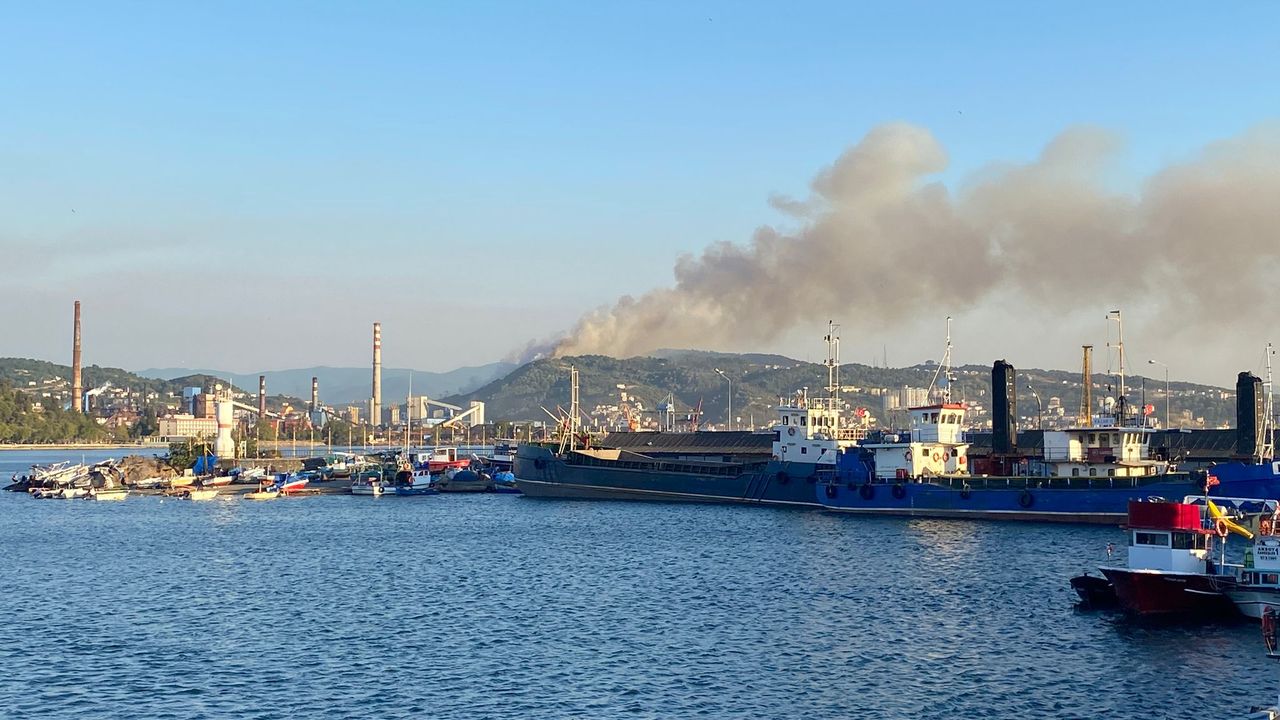 Karadeniz Ereğli’de orman yangını