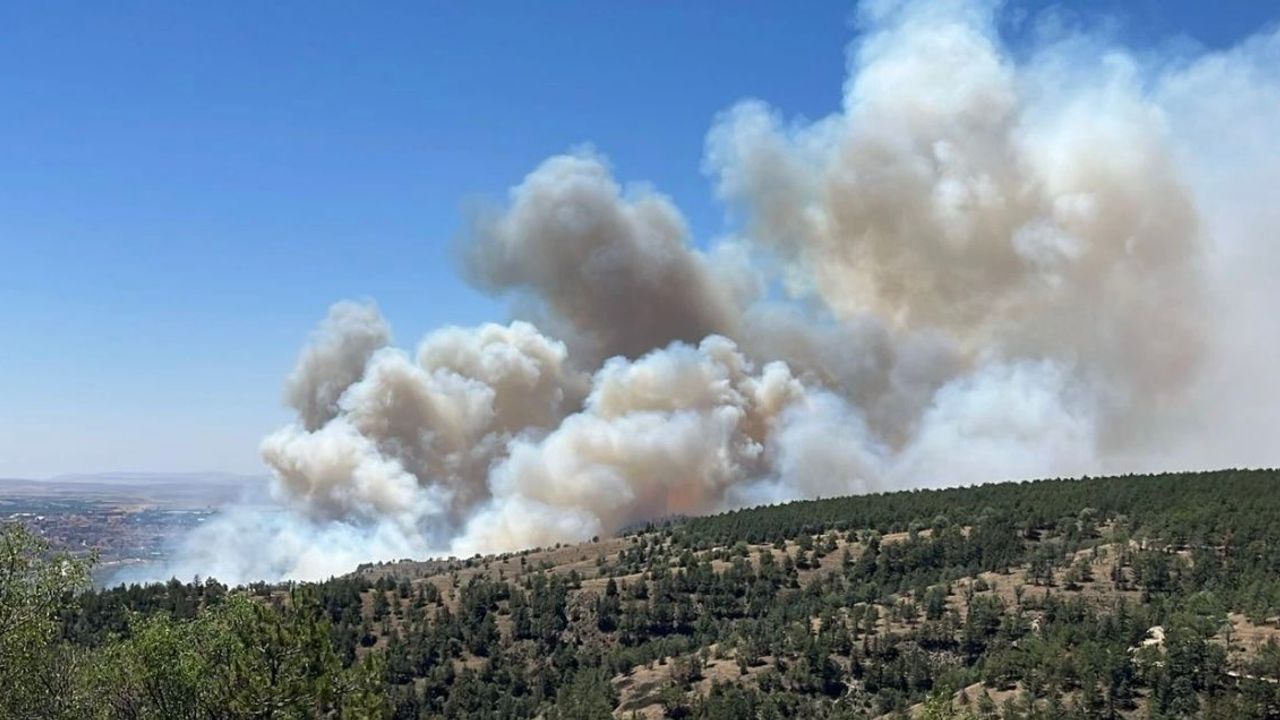 Ankara Eymir Gölü çevresinde orman yangını çıktı