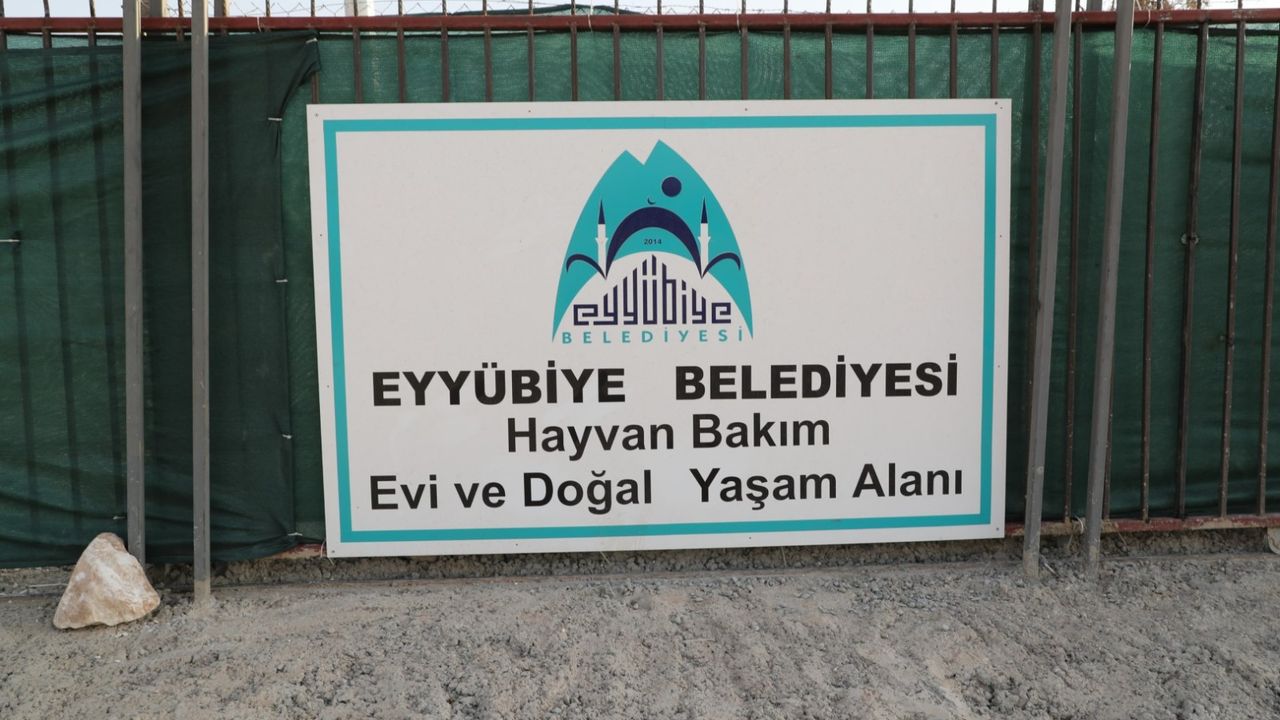 Eyyübiye, sokak hayvanları sorununu çözdü