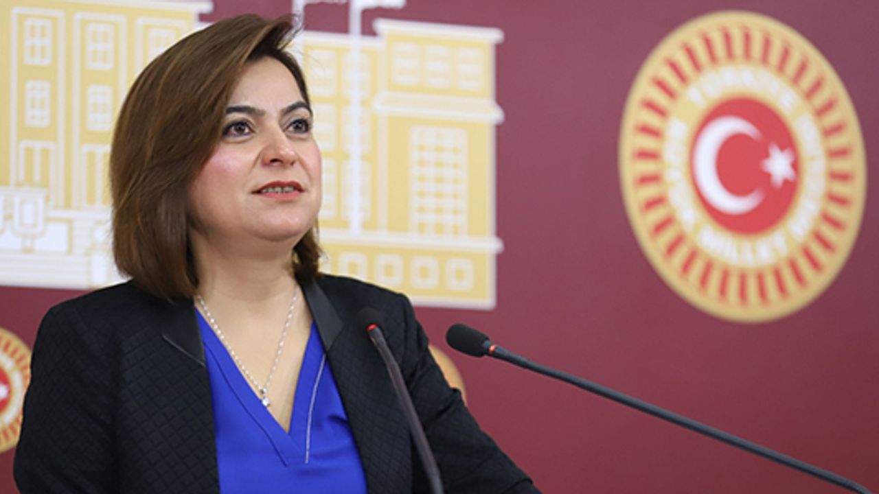 DEM Parti Grup Başkanvekili ve Kars Milletvekili Gülüstan Kılıç Koçyiğit, TBMM Başkanlığına bir soru önergesi sundu