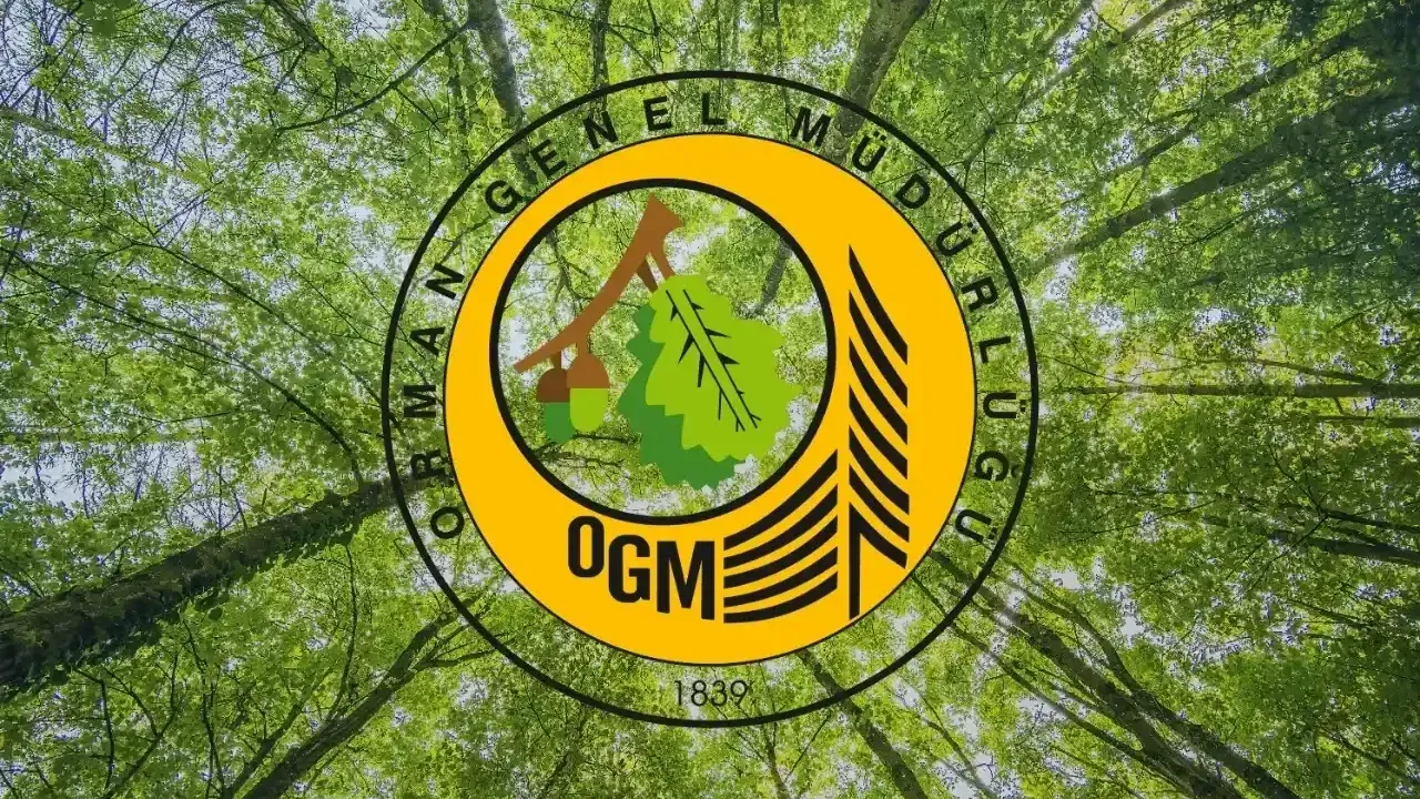 OGM’den kritik yangın uyarısı: 19-25 Temmuz arasına dikkat!
