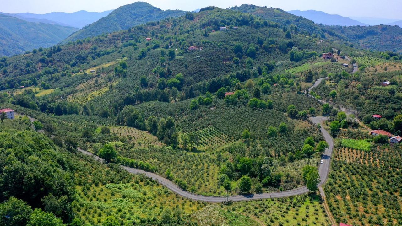 Ordu’dan Samsun’a bağlantı sağlayan yolda son düzlük