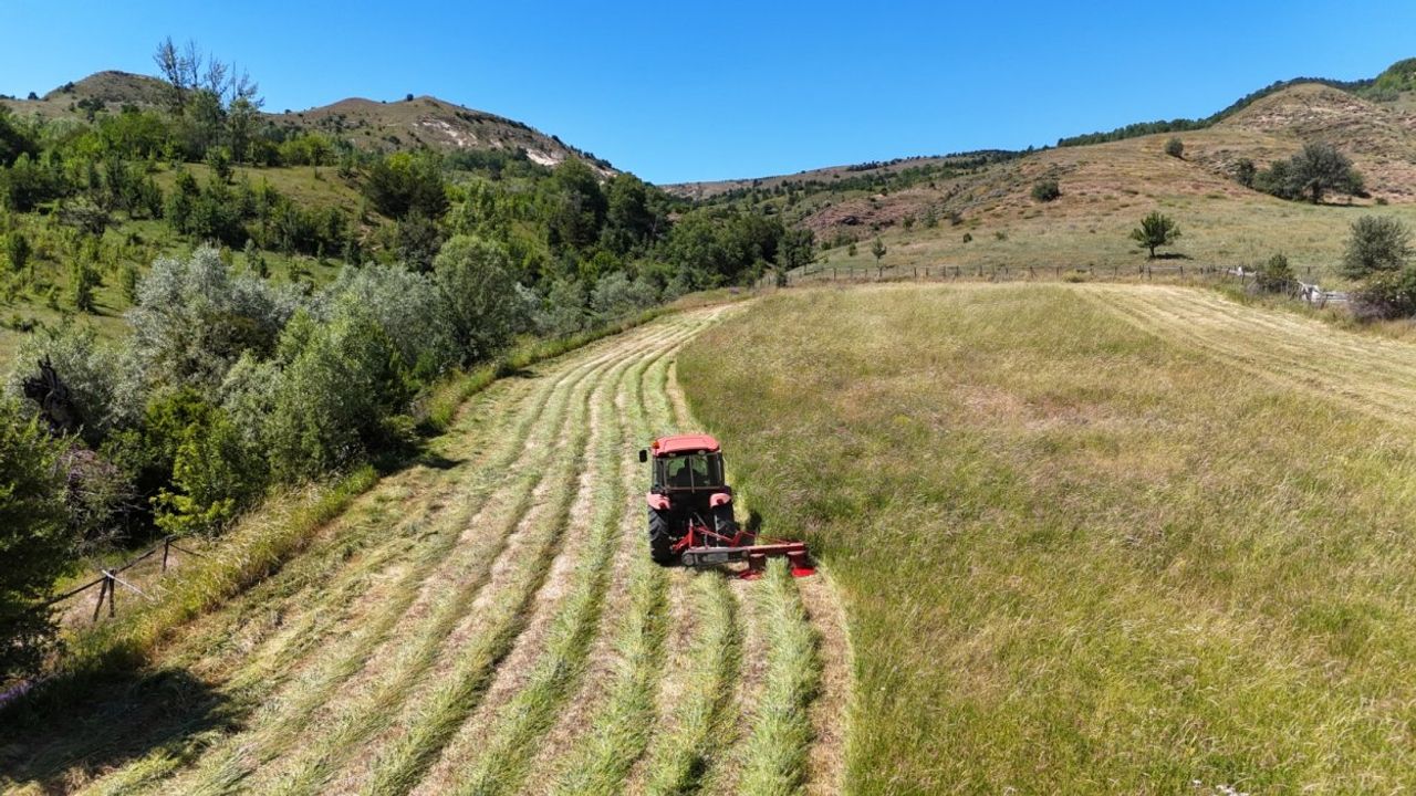 BBP Muğla İl Başkanı Melih Aydoğan: Rabbim hayırlı görevler yapmayı nasip etsin