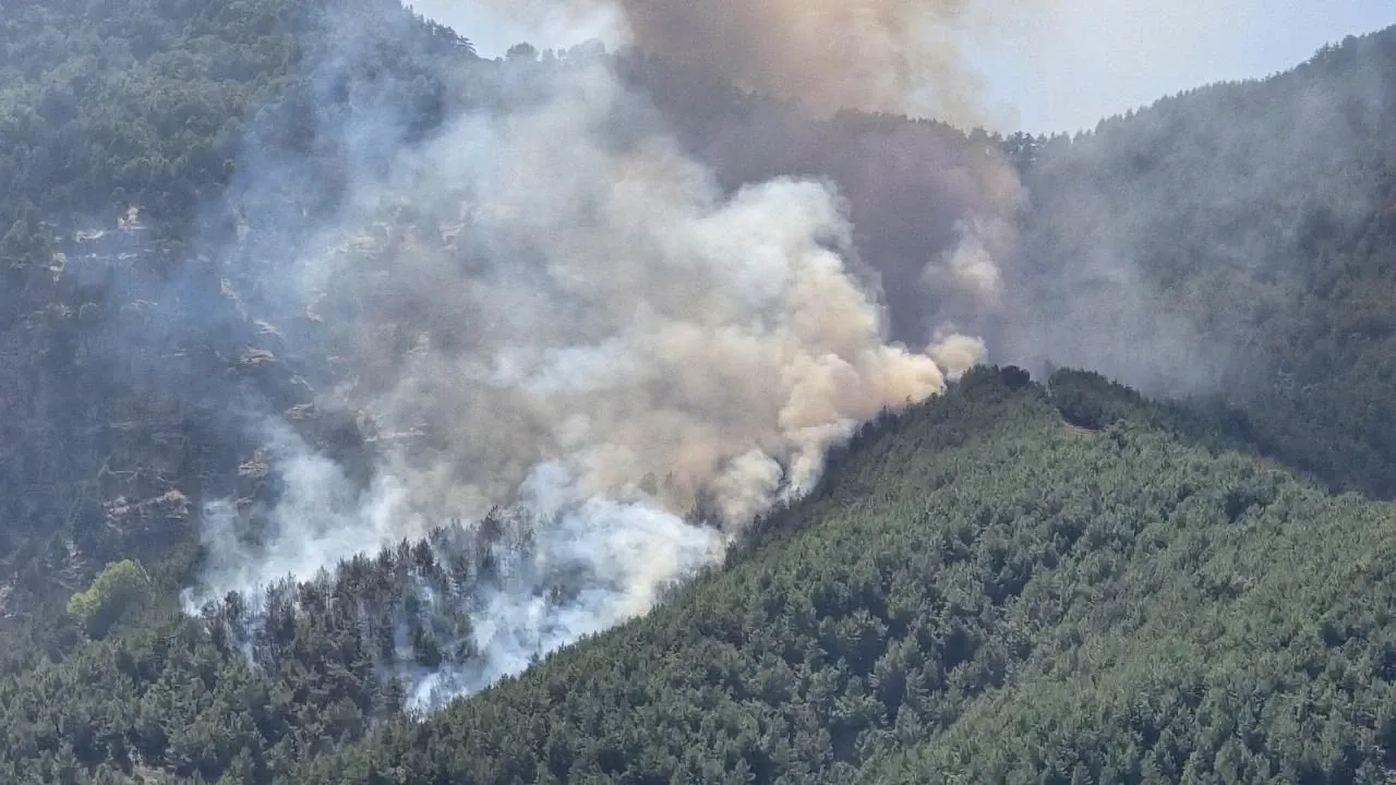Temmuz’da 61 orman yangını: 4 kişi tutuklandı