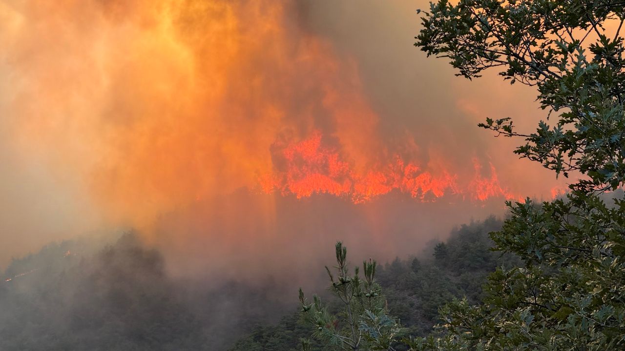Sakarya-Bilecik sınırındaki orman yangını 4. gününde