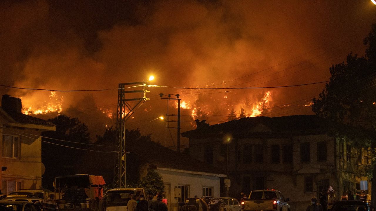 Sakarya-Bilecik orman yangını kontrol altında: Dumanlar Eskişehir’e ulaştı