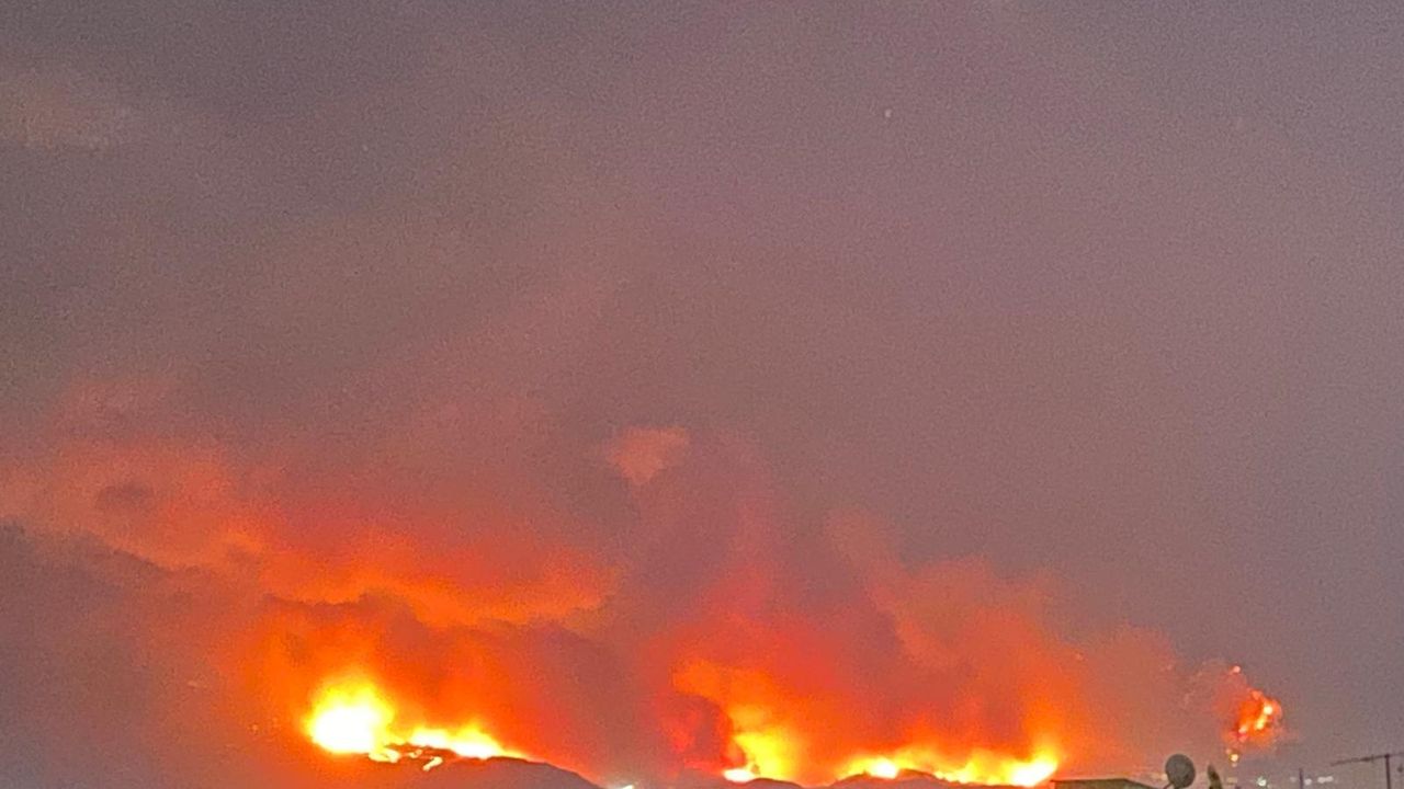 Bursa’da büyük orman yangını: Kül olan alanlar, yaralılar ve yaban hayatı katliamı